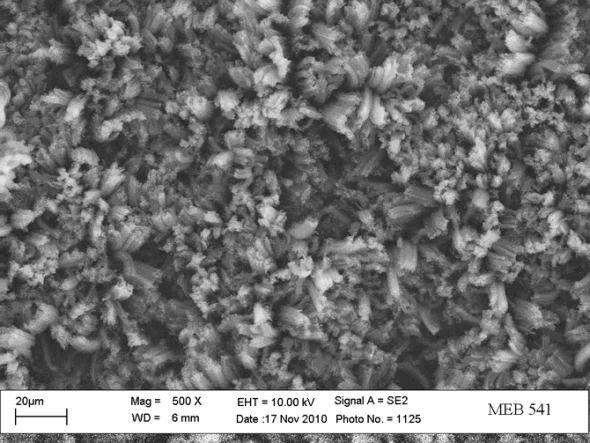 美科学家研制超强吸光的碳纳米管阵列材料