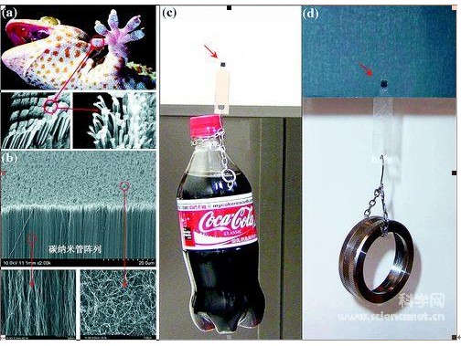 碳纳米管仿生壁虎脚打造蜘蛛人